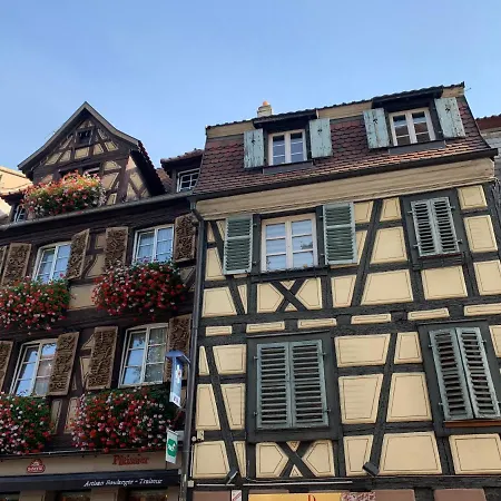 Pinot 4 Personnes * Colmar